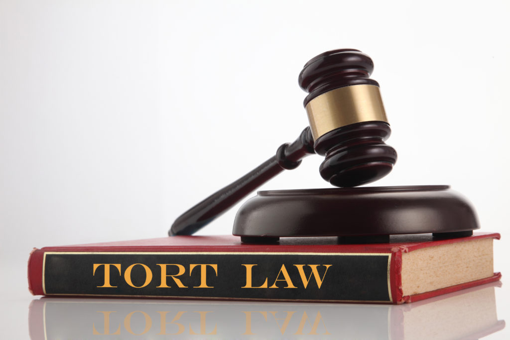 Law book that has written Tort Law with a gavel hammer sitting on top